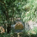 山羌照片2