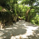 山羌營位-3