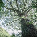 叫我野孩子花蓮小勇士團_活動照片6